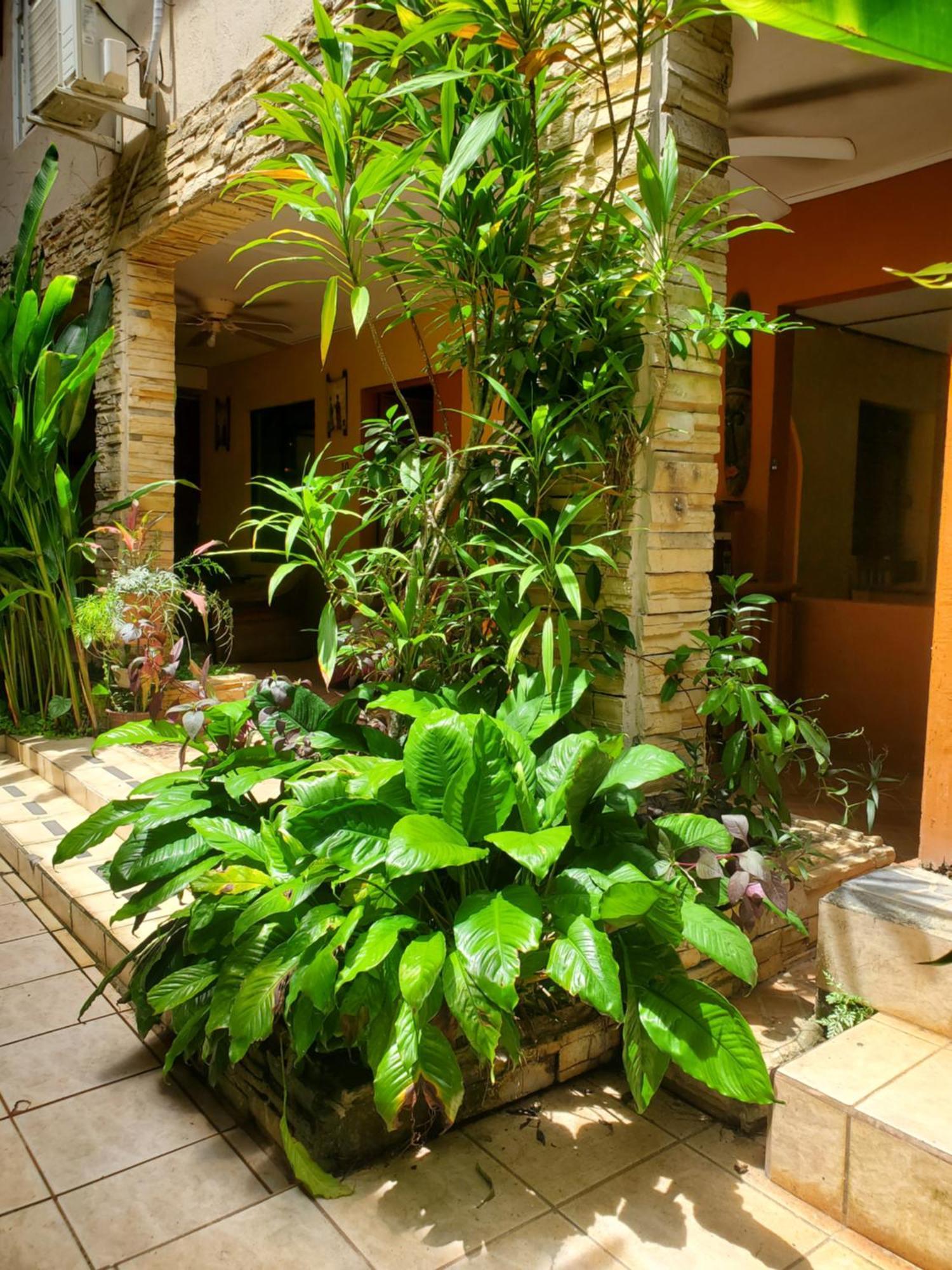 Hotel Villa Prats Manuel Antonio Εξωτερικό φωτογραφία